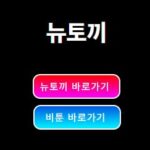 뉴토끼